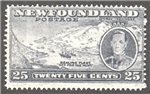 Newfoundland Scott 242 Mint F (P14.1)